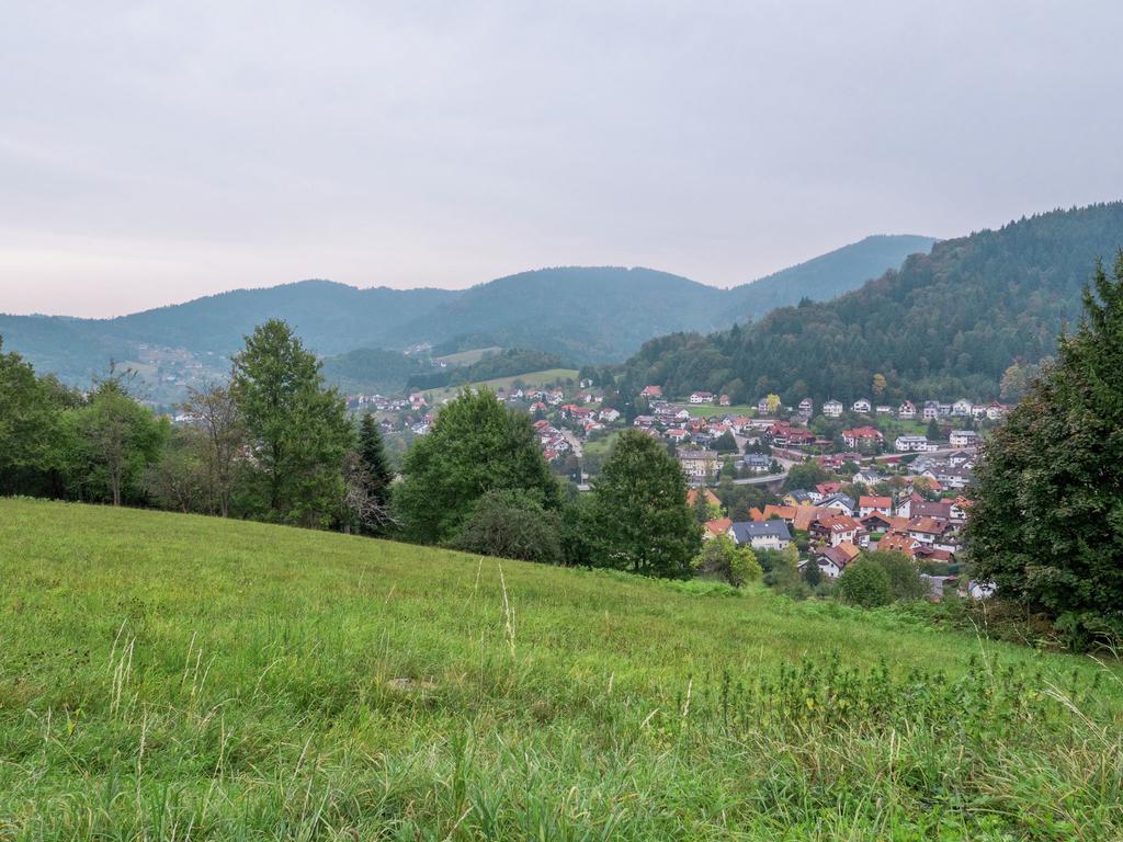 Quaint Apartment In Buhlertal With Private Garden Exteriör bild