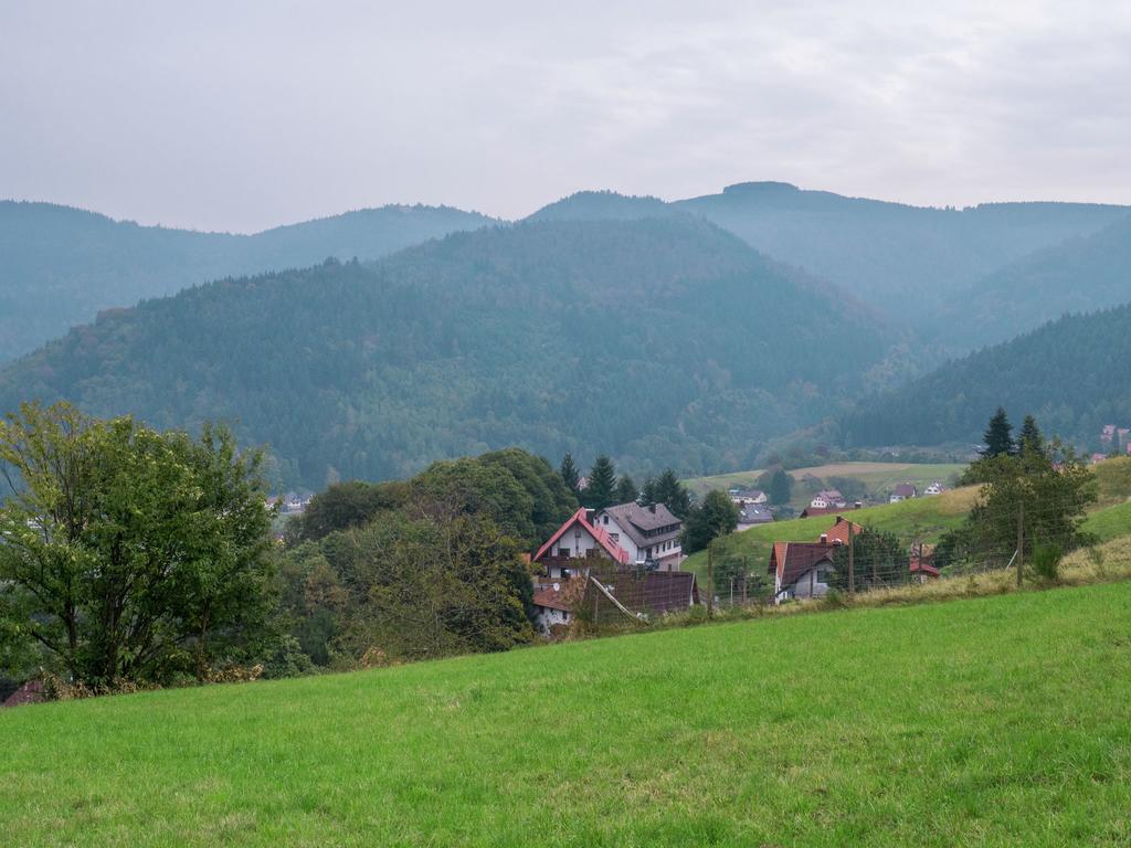 Quaint Apartment In Buhlertal With Private Garden Exteriör bild